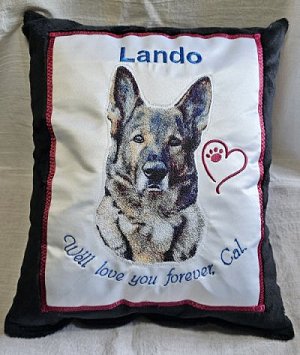 Anybody else's Cattledog carry their toys around and use them as pillows? :  r/AustralianCattleDog